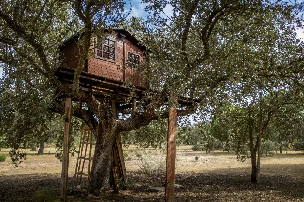 Boomhut