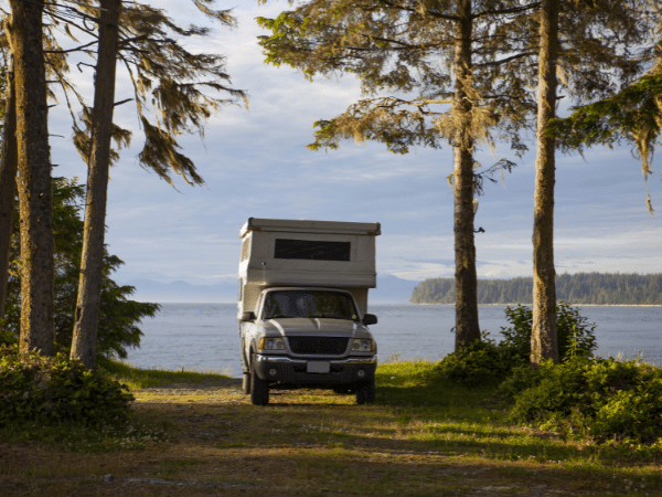 Camperreis bos