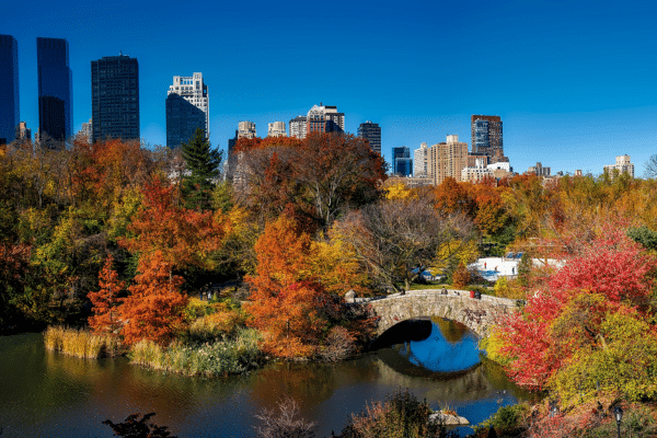 New York Central Park