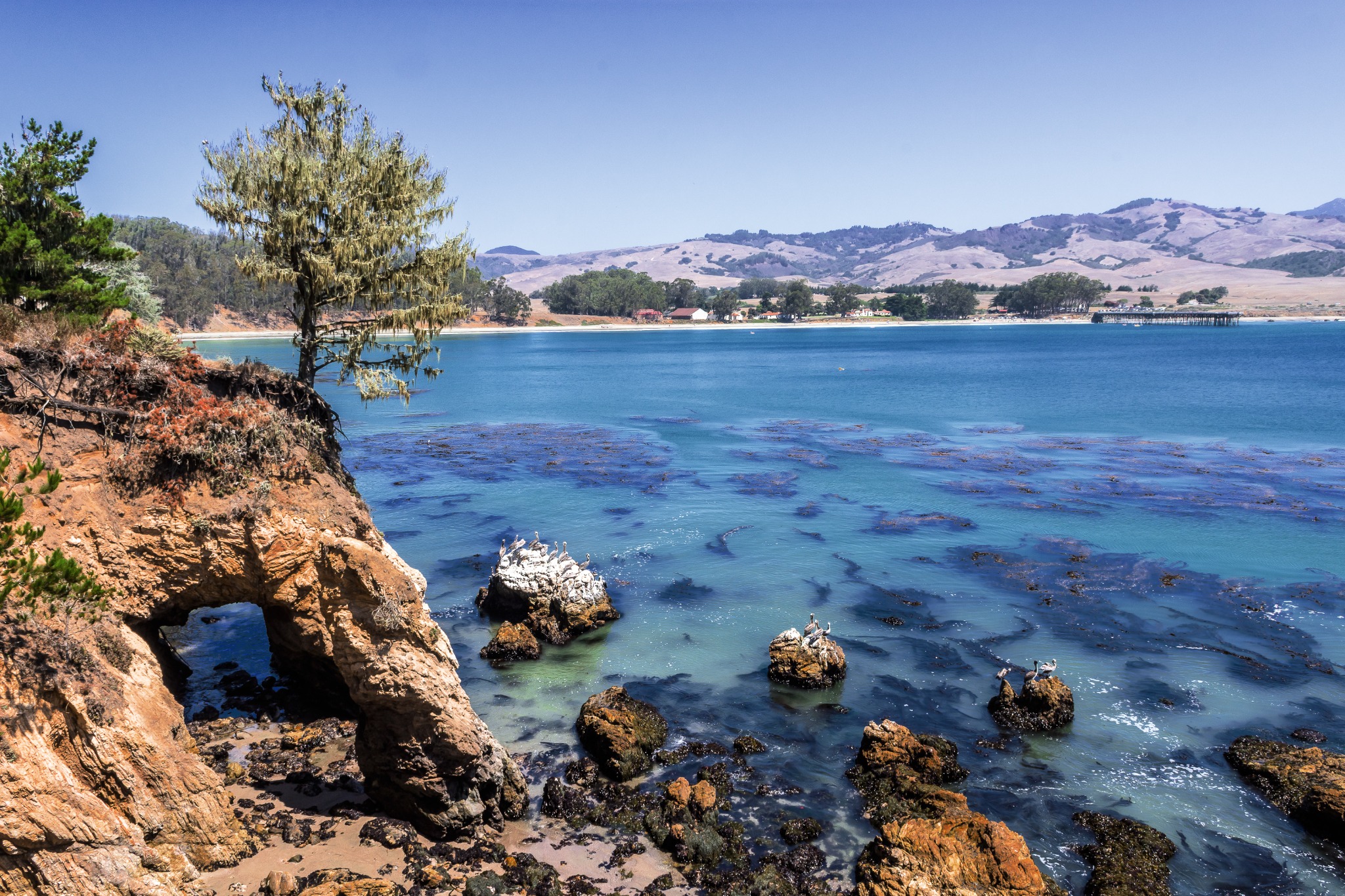 Kustlijn met rotsen in San Simeon, California