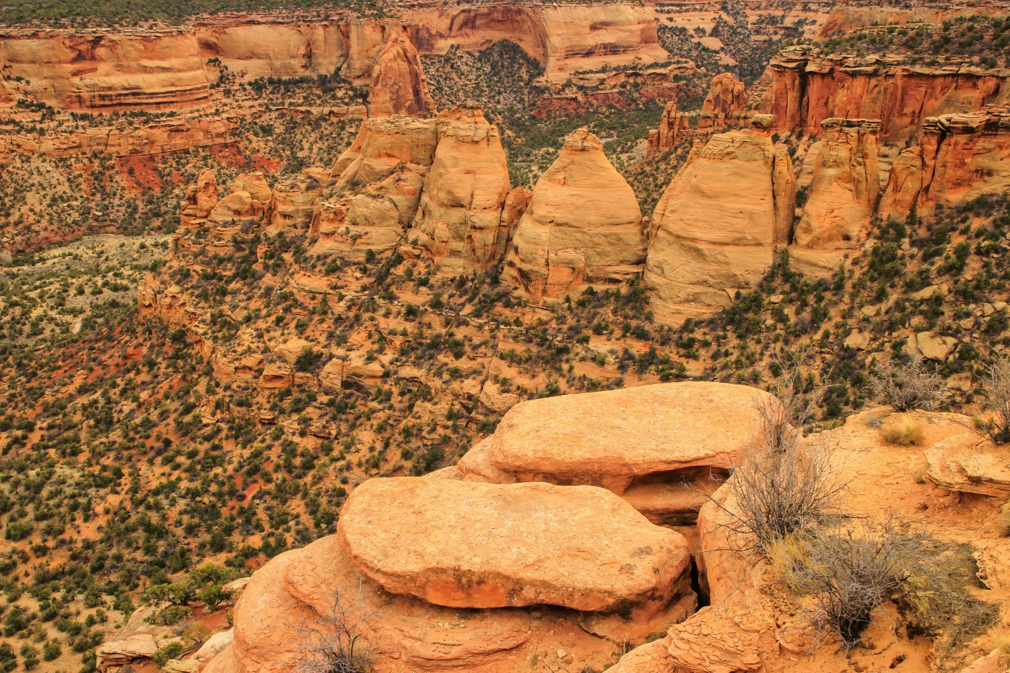 Rotsformaties met begroeiing in Grand Junction, Colorado
