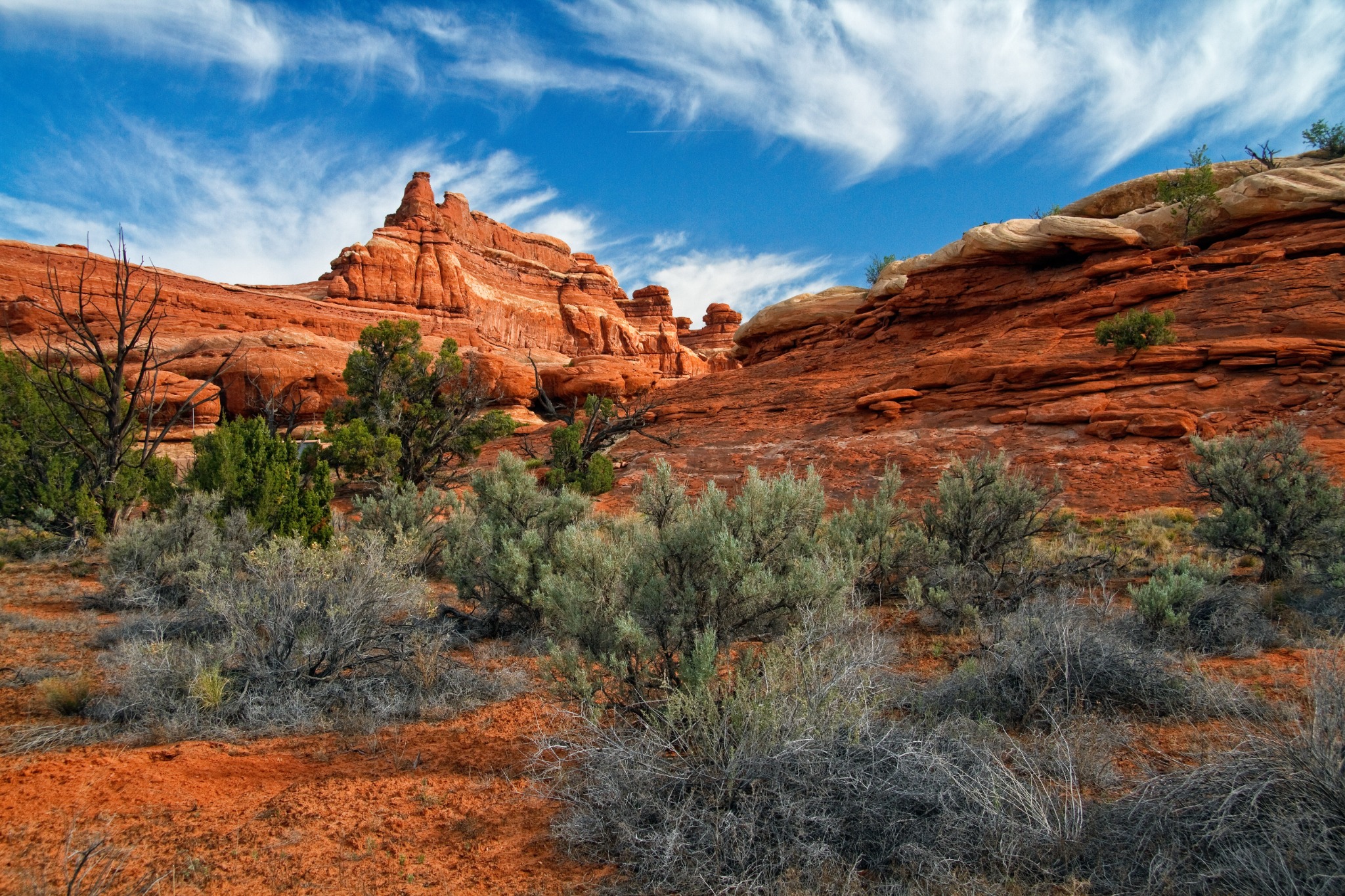 Rode rotsen en begroeiing in Canyonlands, Utah