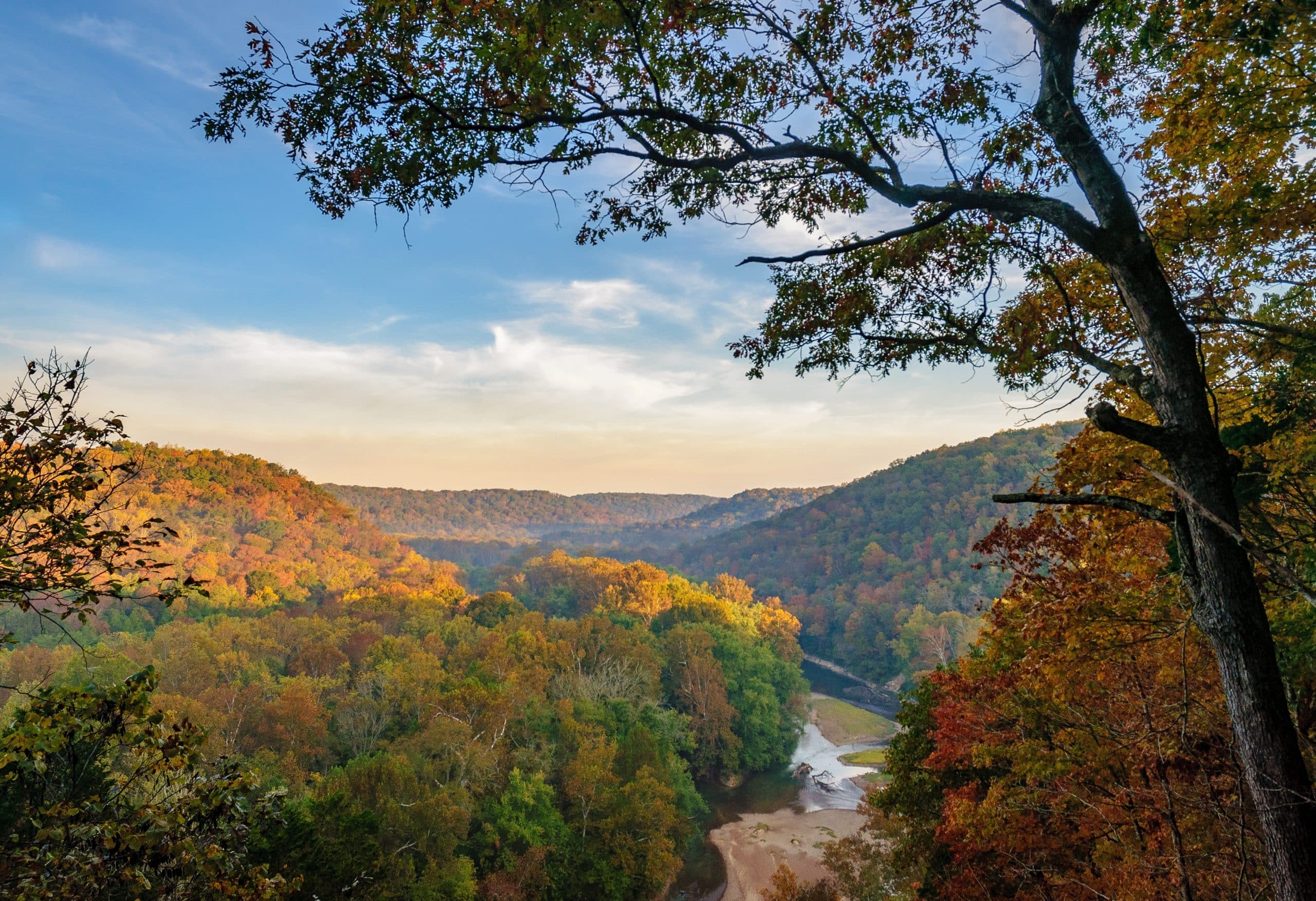 Vallei met rivier en bomen in Mammoth Cave, Kentucky
