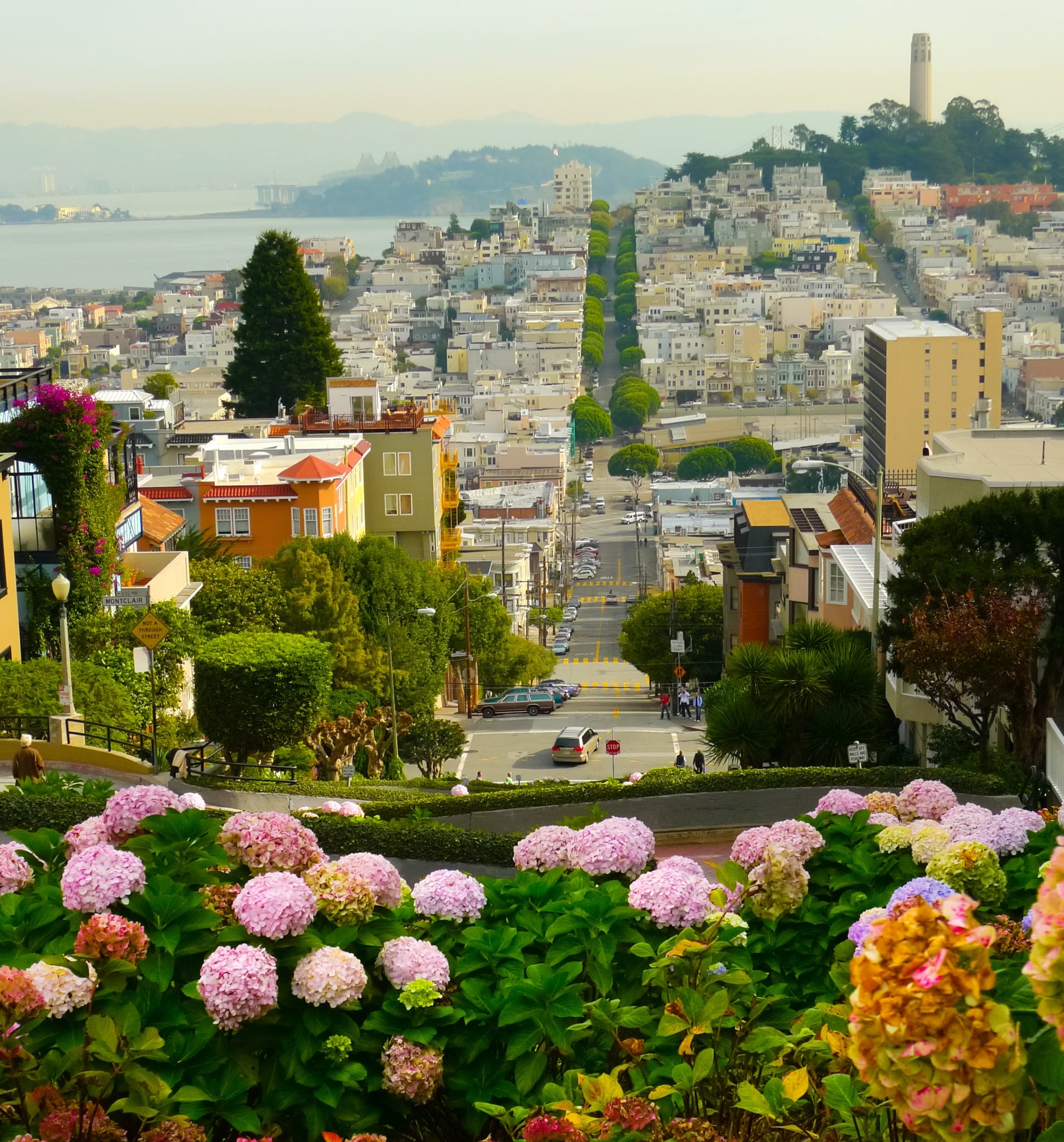 Uitzicht op Coit Tower en baai in San Francisco, California