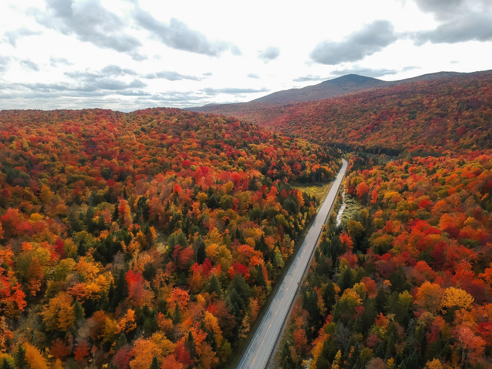 Weg door herfstbossen in Stowe Vermont