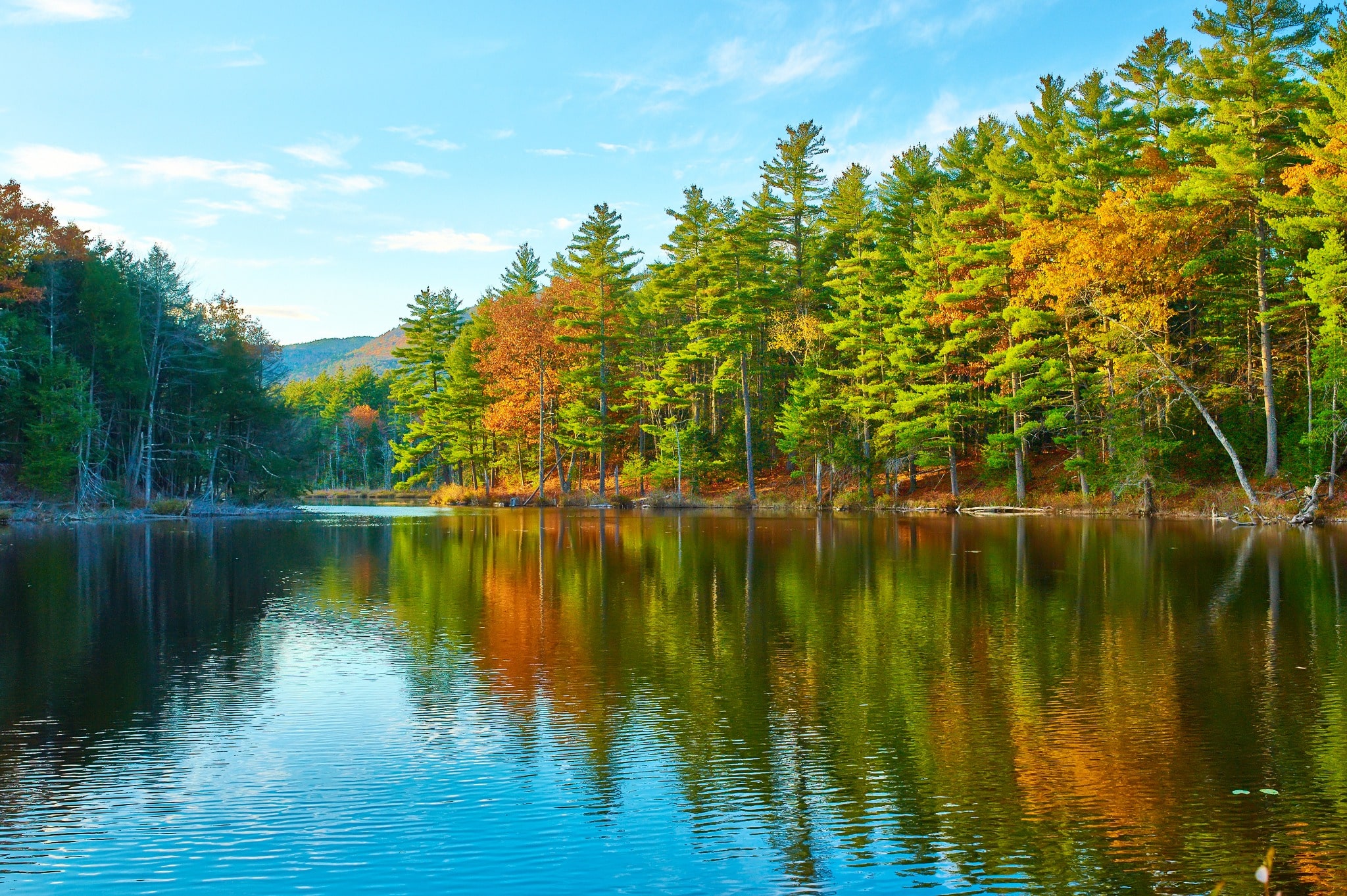 Meer met herfstbos in White Mountains New Hampshire