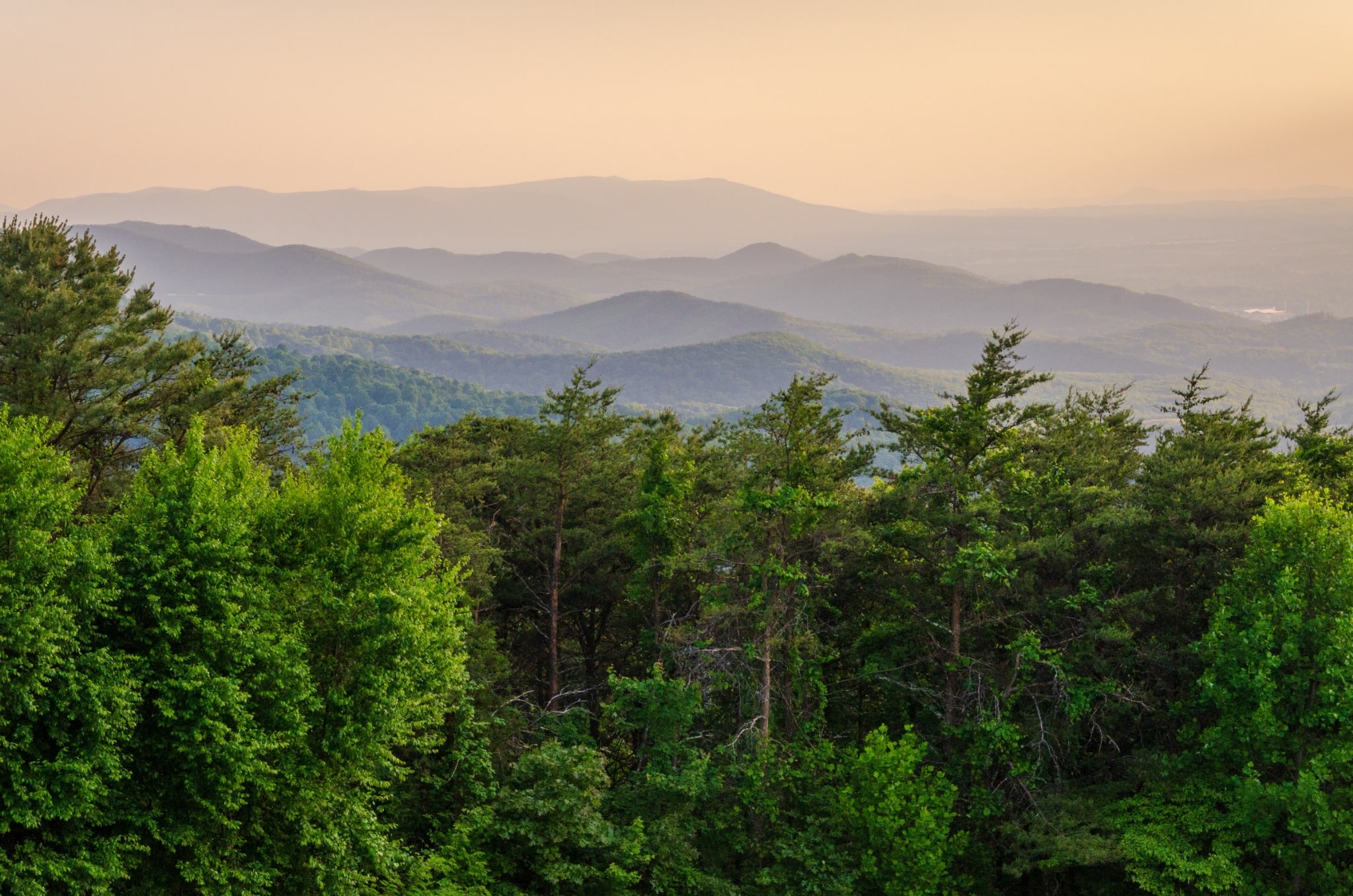 Zonsondergang boven bossen in Shenandoah National Park